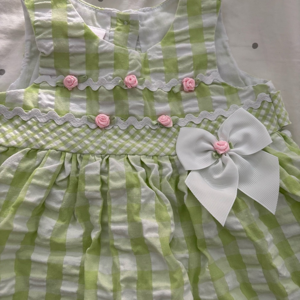 Bonnie Baby Green and White Checkered Dress with Pink Rosettes